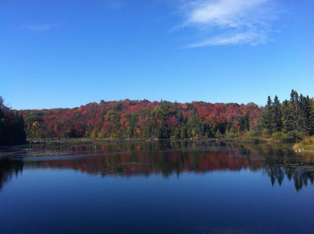 Glenview Cottages Sault Ste. Marie Luaran gambar