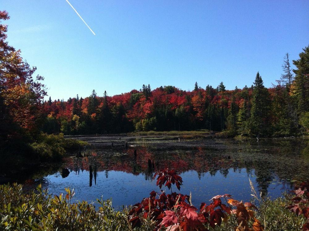 Glenview Cottages Sault Ste. Marie Luaran gambar