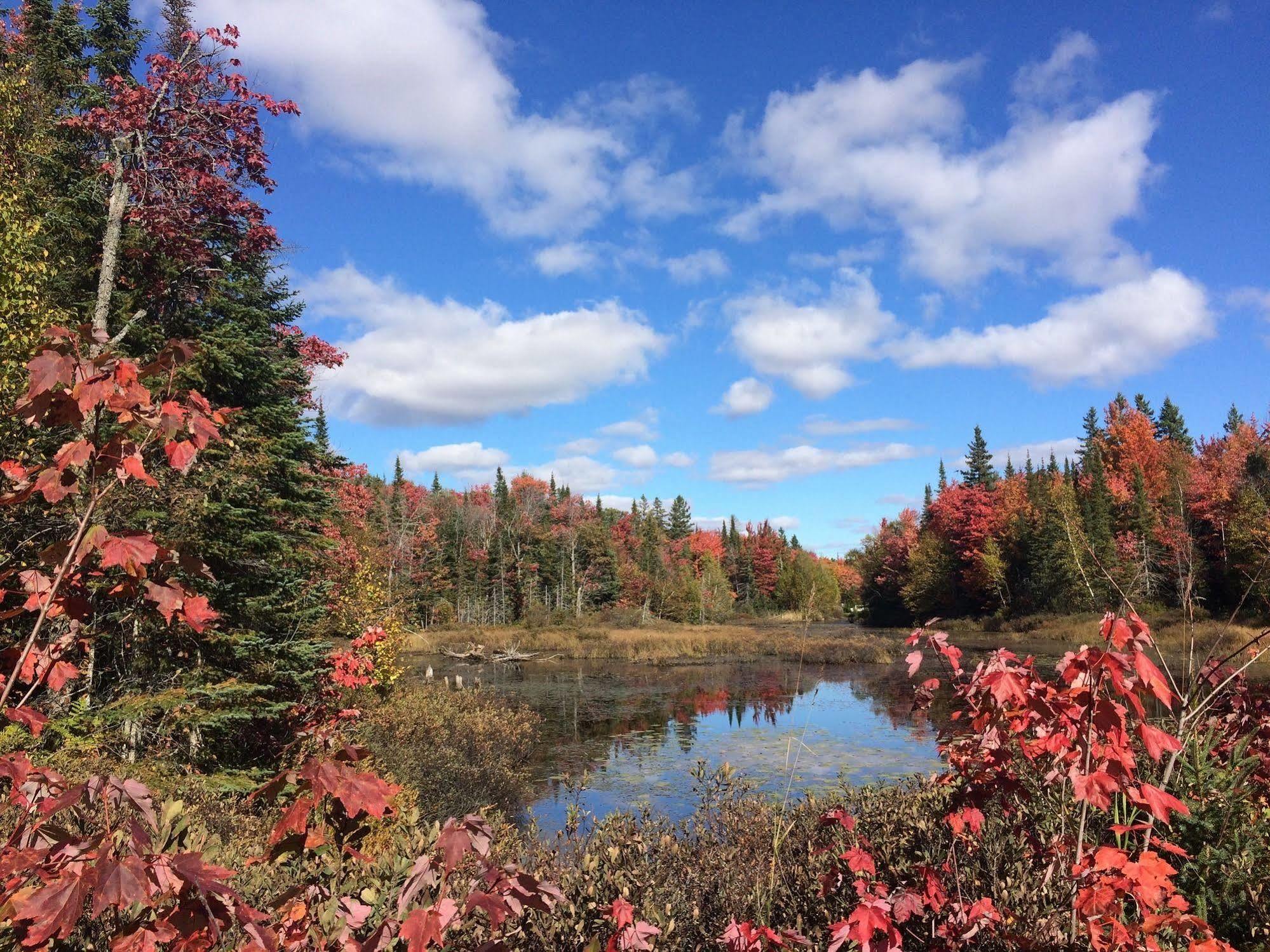 Glenview Cottages Sault Ste. Marie Luaran gambar